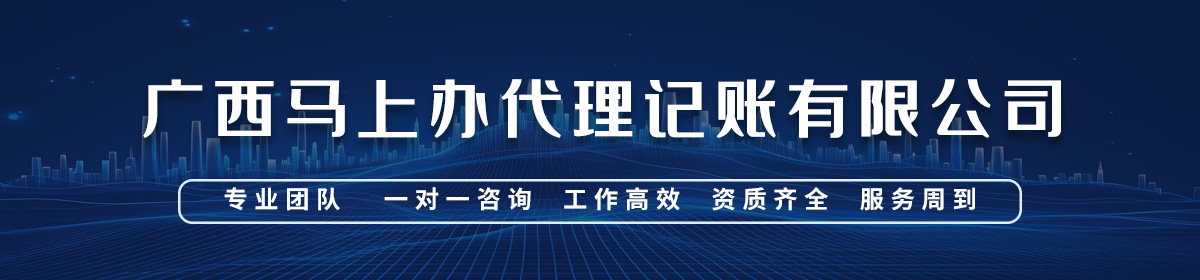 广西马上办代理记账有限公司