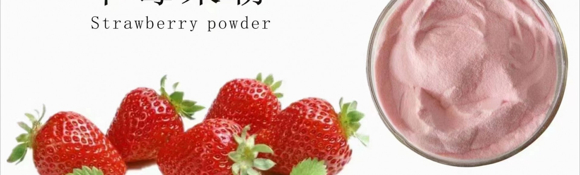 兰州沃特莱斯生物科技有限公司