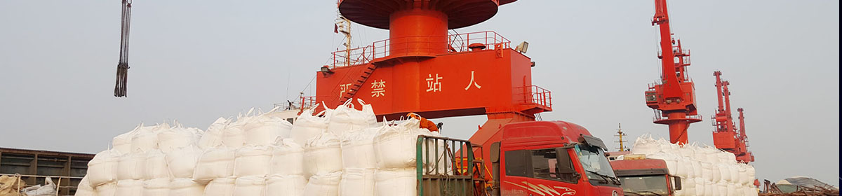 山东鲁九化工有限公司