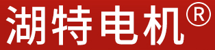 长沙湖特电机有限公司