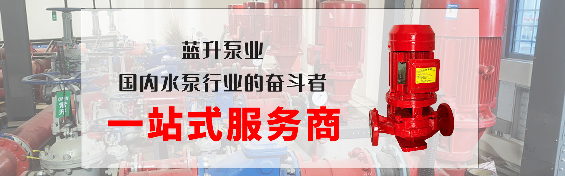 山东蓝升泵业有限公司