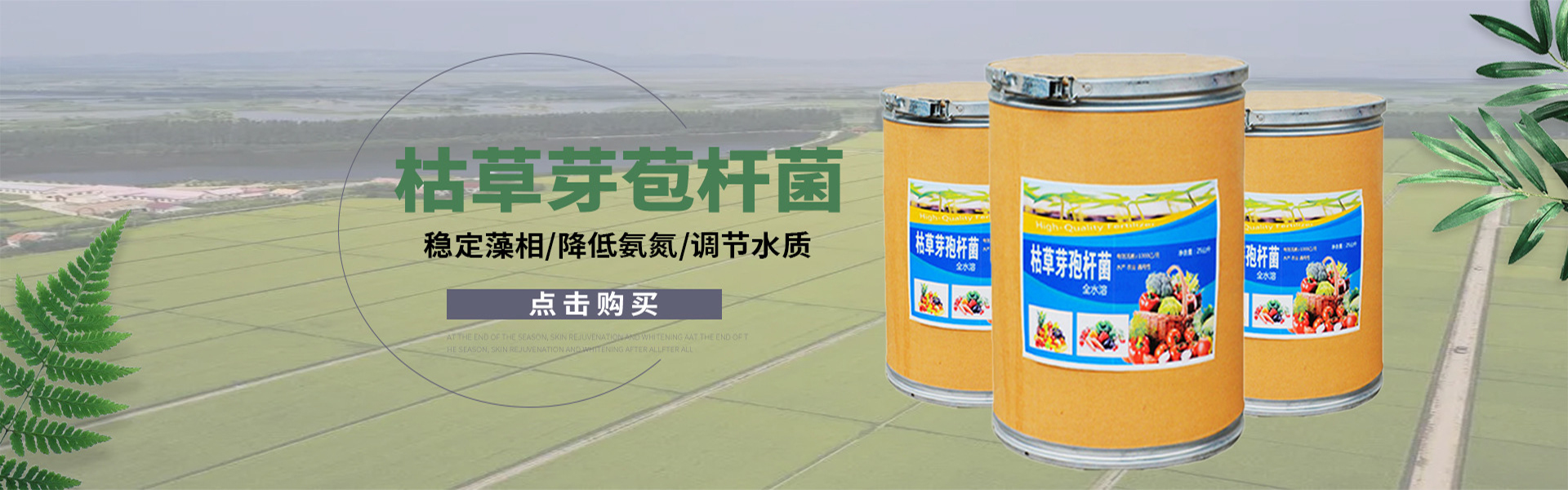 济南国丰化工有限公司