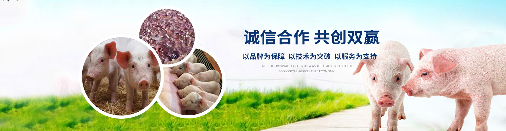 中圣生物科技（浦城）有限公司