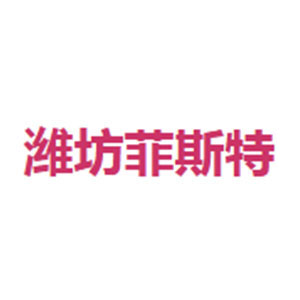 潍坊菲斯特自控设备有限公司