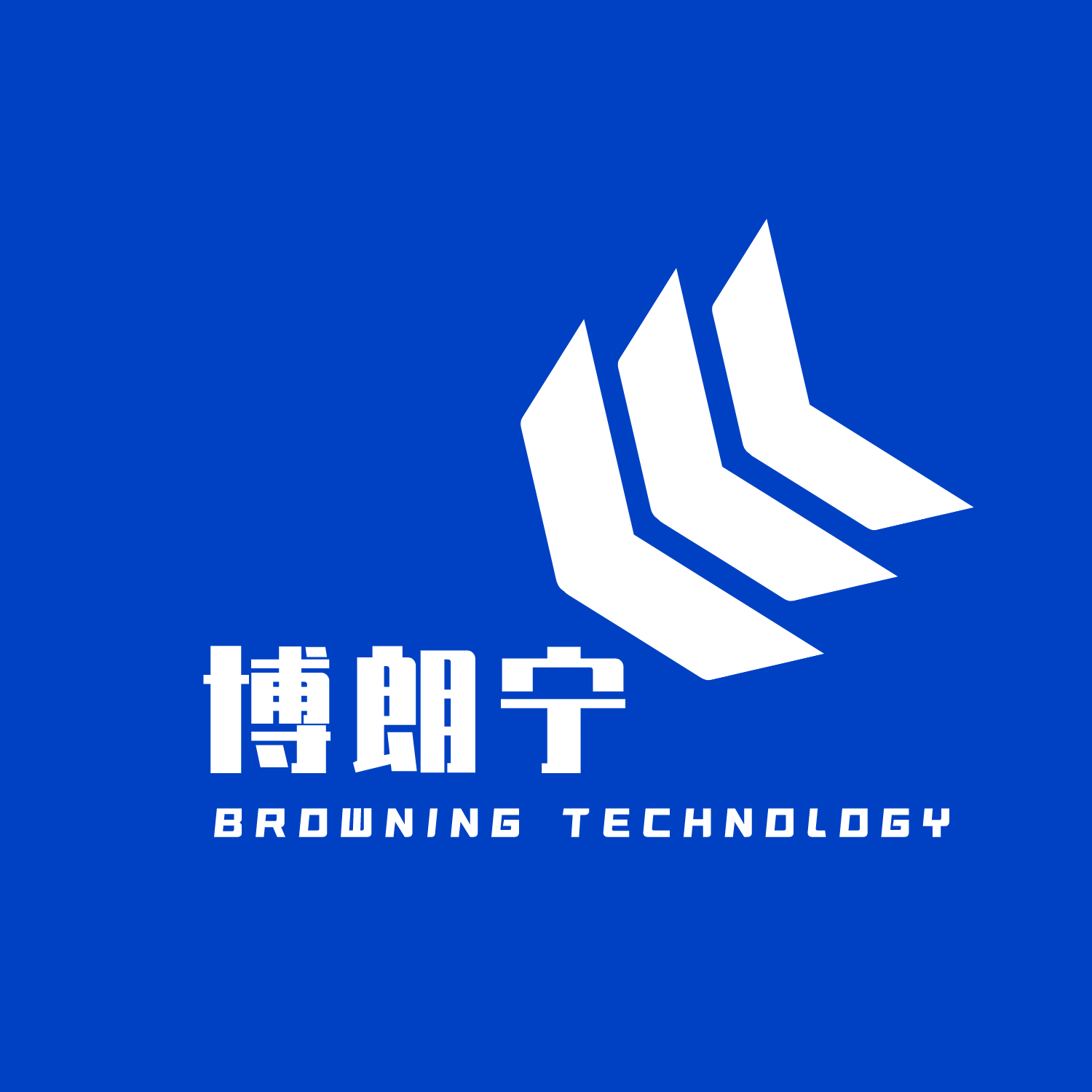 北京博朗宁科技有限公司