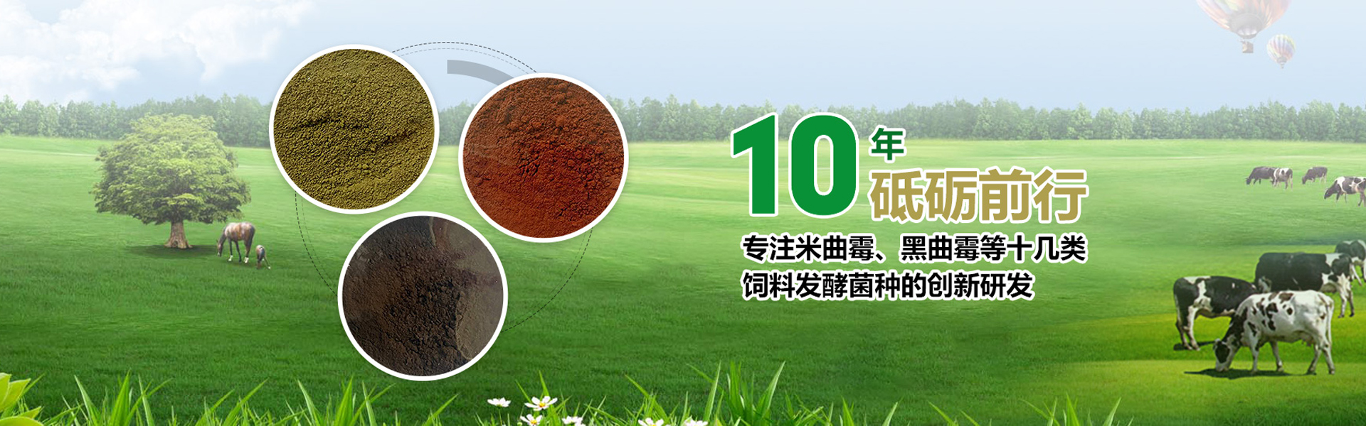 山东和众康源生物科技有限公司