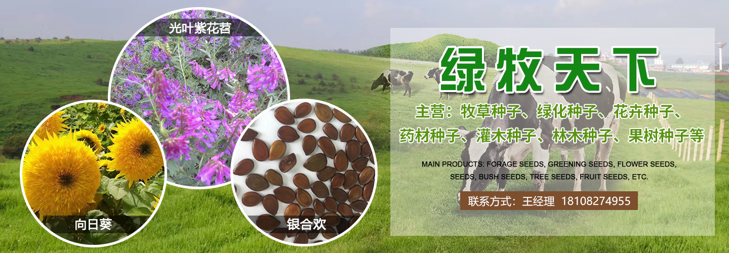 成都绿牧天下农业科技有限公司