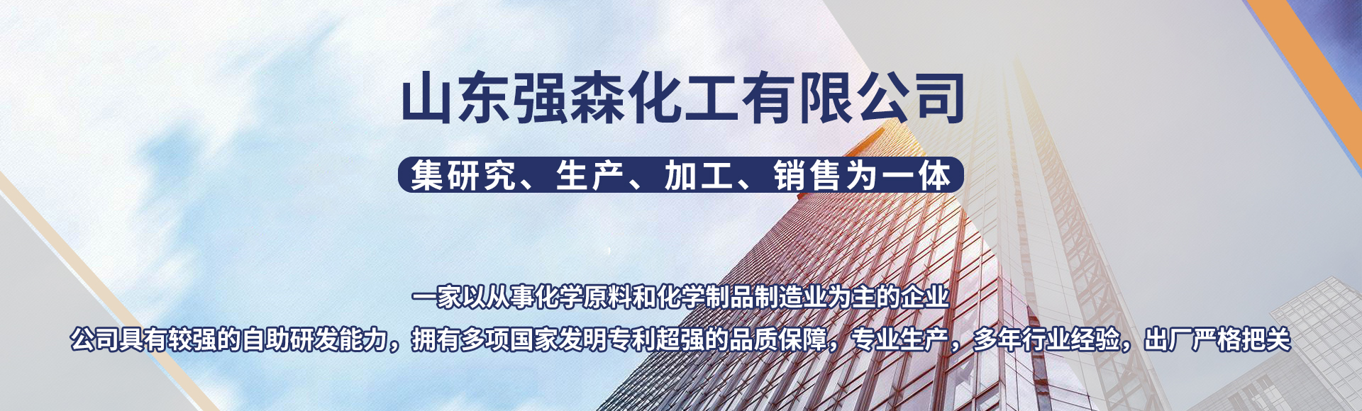 山东强森化工有限公司