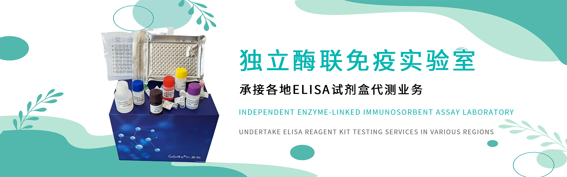 上海晶抗生物工程有限公司