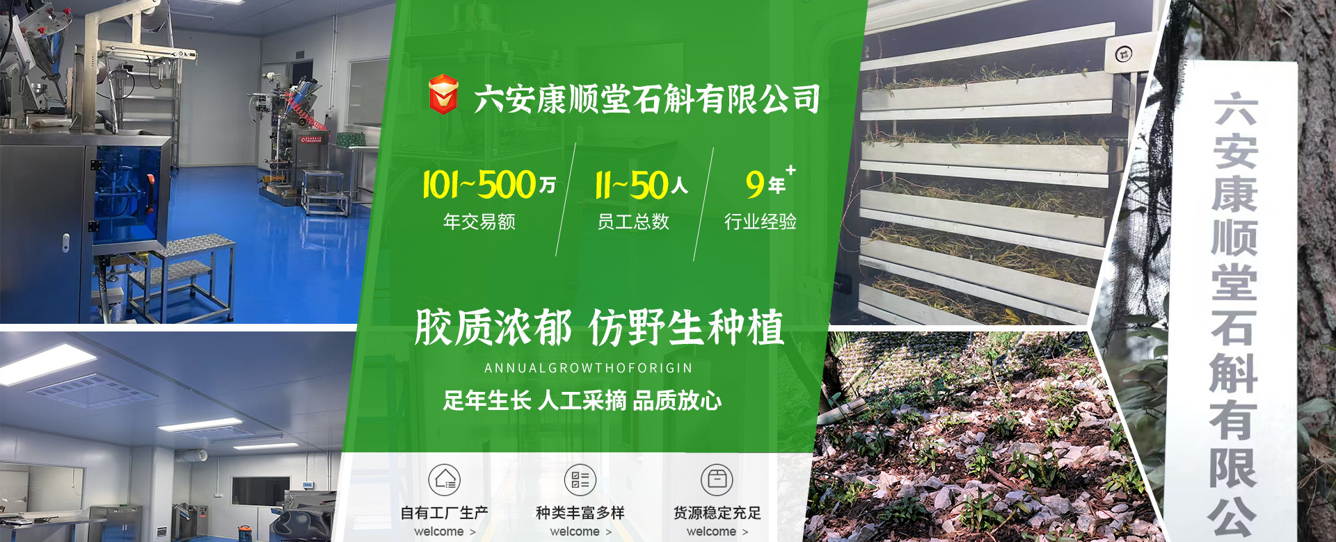 六安康顺堂石斛有限公司
