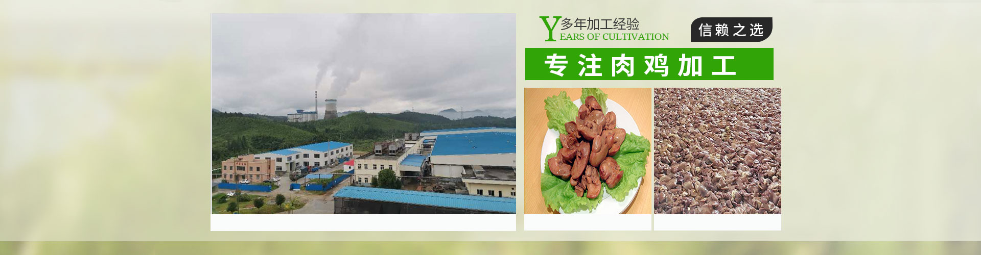 中圣生物科技（浦城）有限公司
