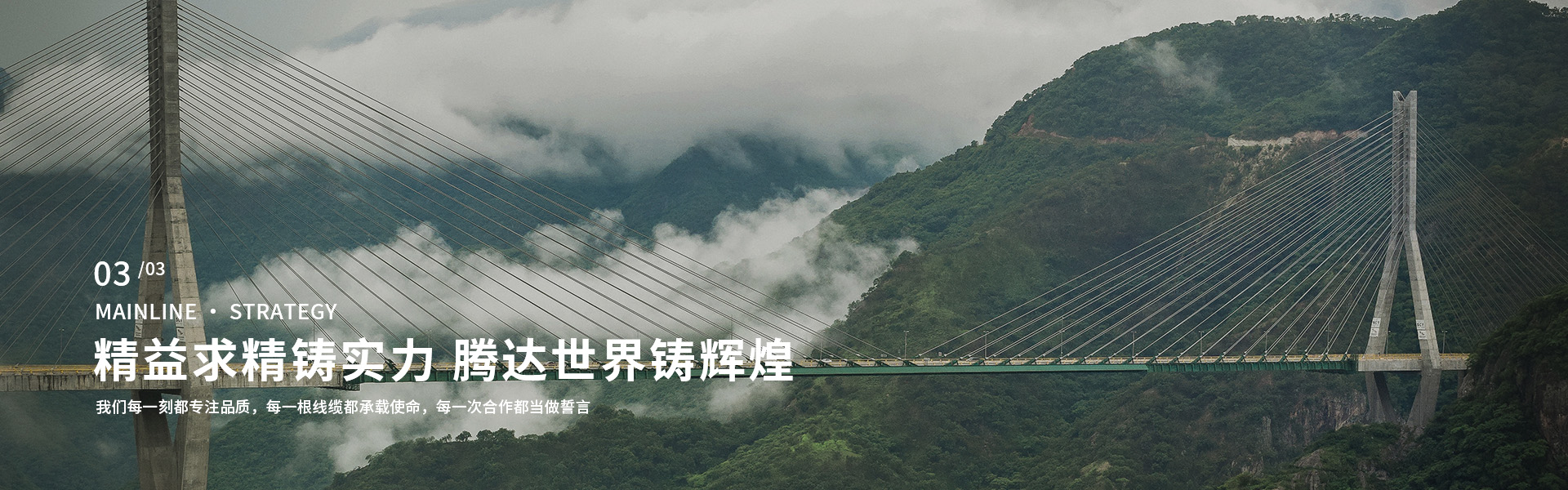 天津正标津达线缆集团有限公司