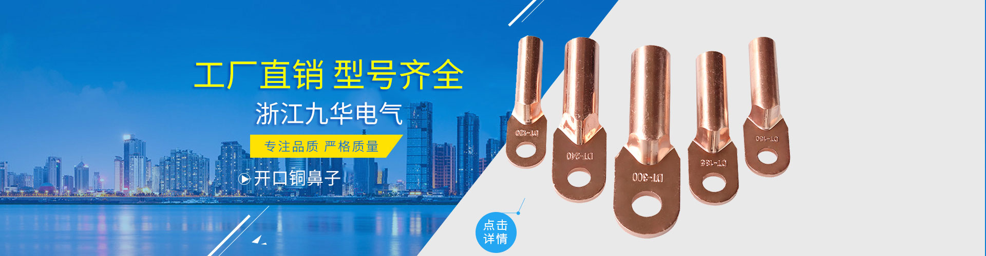 乐清市九华电气有限公司
