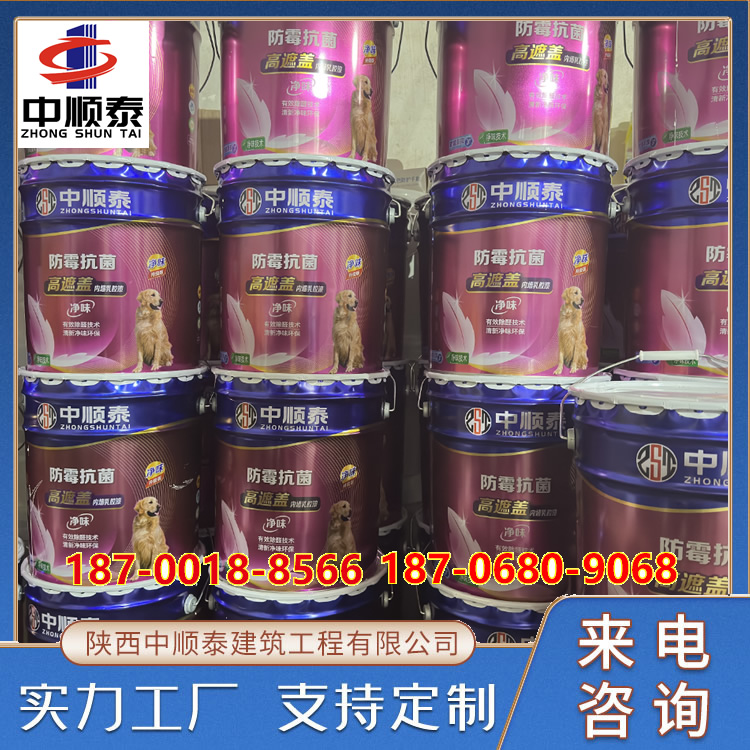 净味防霉抗菌墙面漆 内墙外墙环保无机涂料  中顺泰
