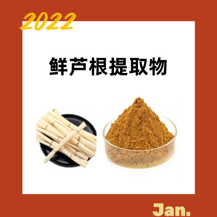 鲜芦根粉  含税含运10:1比例 六盘韵生物 支持验厂 水溶浓缩粉