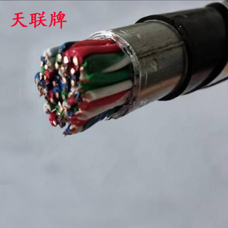 PTYL23电缆支持定制