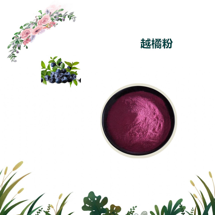 沃特莱斯生物 越橘粉 越橘速溶粉 喷雾干燥粉 1公斤起订