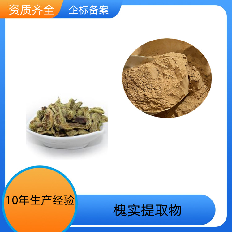 槐实提取物 速溶粉 浓缩干燥 10：1 20：1可定制 一公斤起订