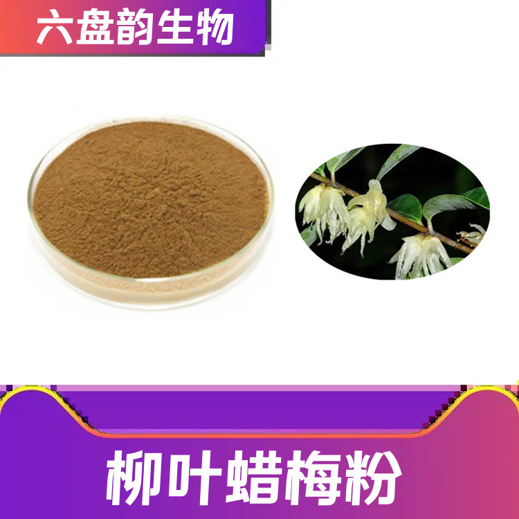 柳叶腊梅粉  粉末细腻 无结块 多种含量规格 精选原料 六盘韵