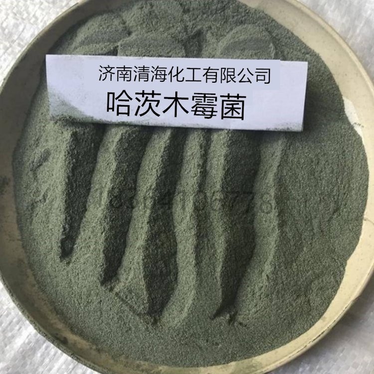 哈茨木霉菌 益生菌批发 淡紫拟青霉菌微生物菌剂厂家
