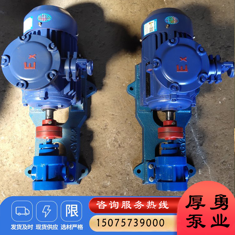 KCB不锈钢齿轮泵 防爆铜齿轮泵 润滑油输送泵 合金钢齿轮油泵