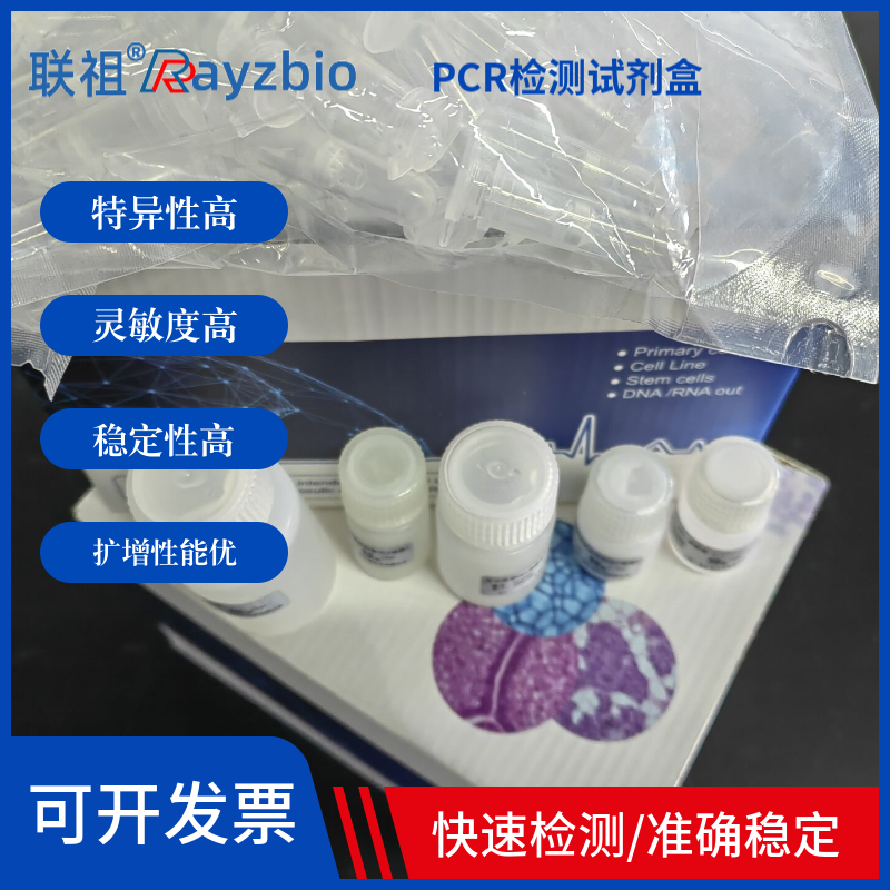 荧光探针PCR试剂盒厂家