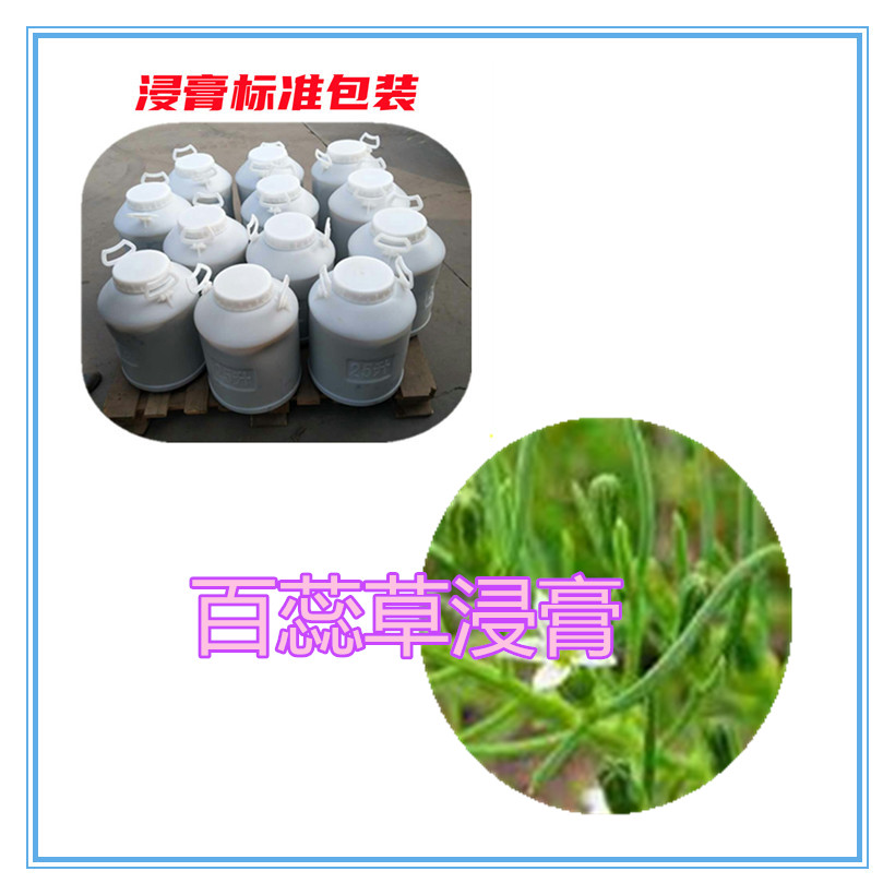 百蕊草提取物 10:1 水提 百蕊草浸膏 百蕊草浓缩粉