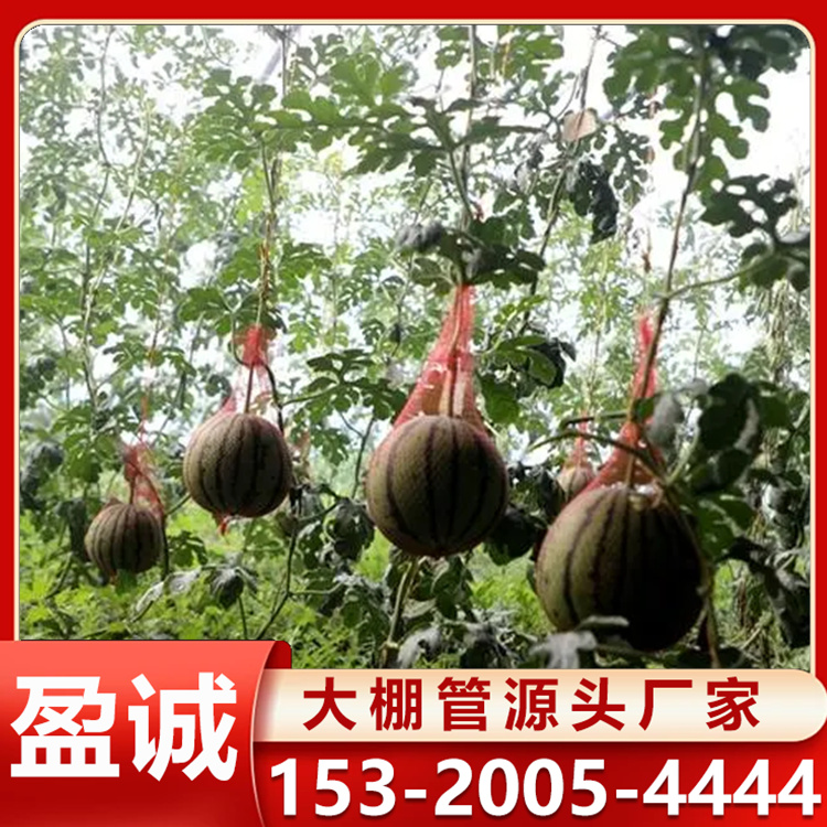 镀锌钢管 西瓜大棚 温室椭圆管骨架厂 库存充足