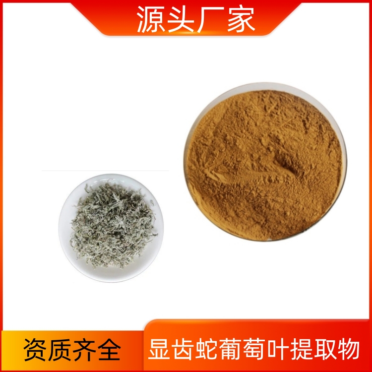 显齿蛇葡萄叶提取物 速溶粉 可水溶 新资源食品原料 10：1可定制