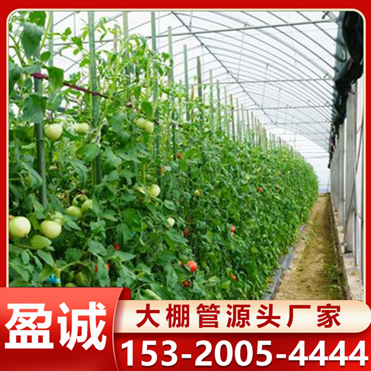 连栋温室 智能蔬菜大棚 观光展览 搭建较快