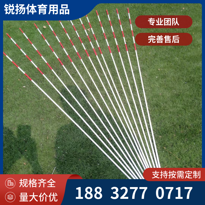 中小学体育器材 中小学达标器材 锐扬