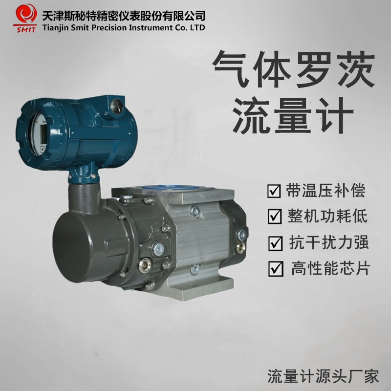 JLQ 气体腰轮流量计