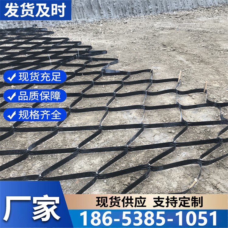 土工格室堤坝护岸格室 挡土墙加筋固土 厂家批发
