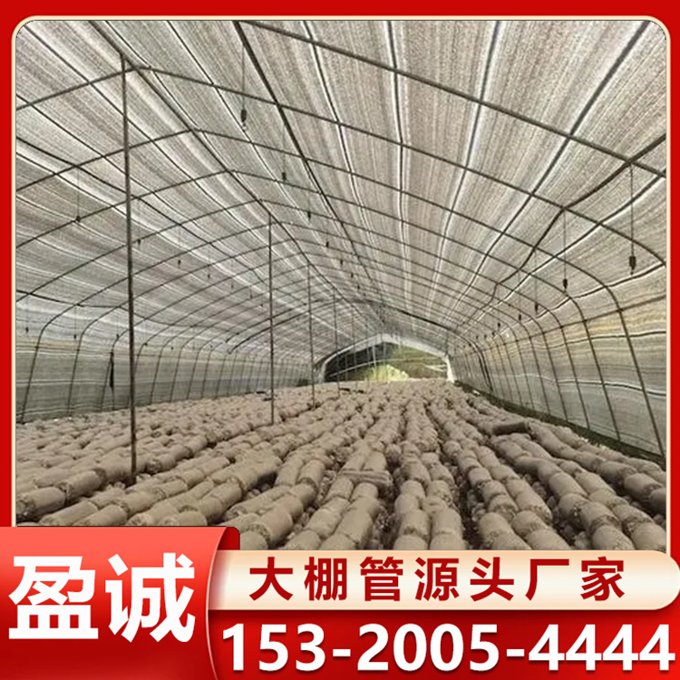 镀锌大棚管 种植养殖专用 坚固耐用蘑菇菌棚 定制加工