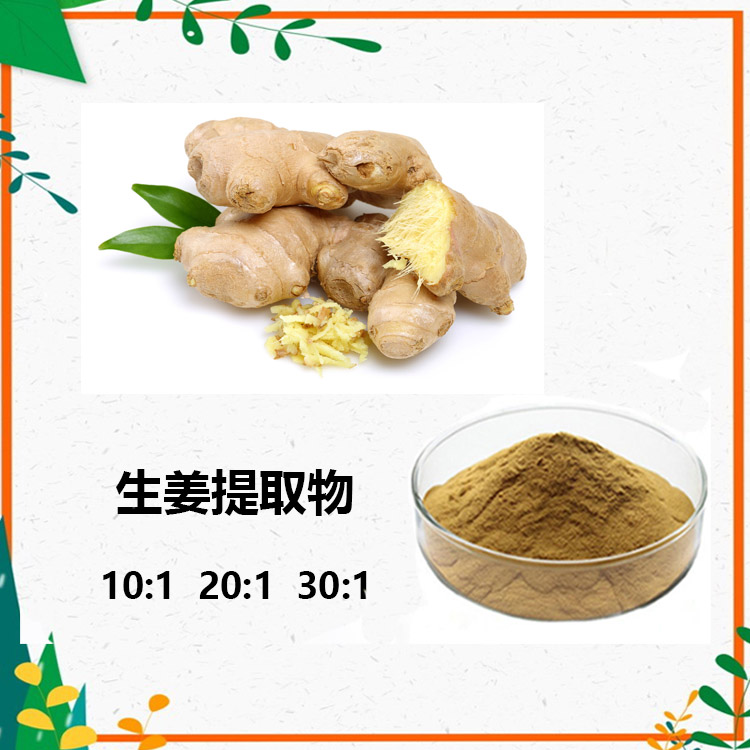 生姜速溶粉 生姜提取物 10:1 水提 姜辣素 1%