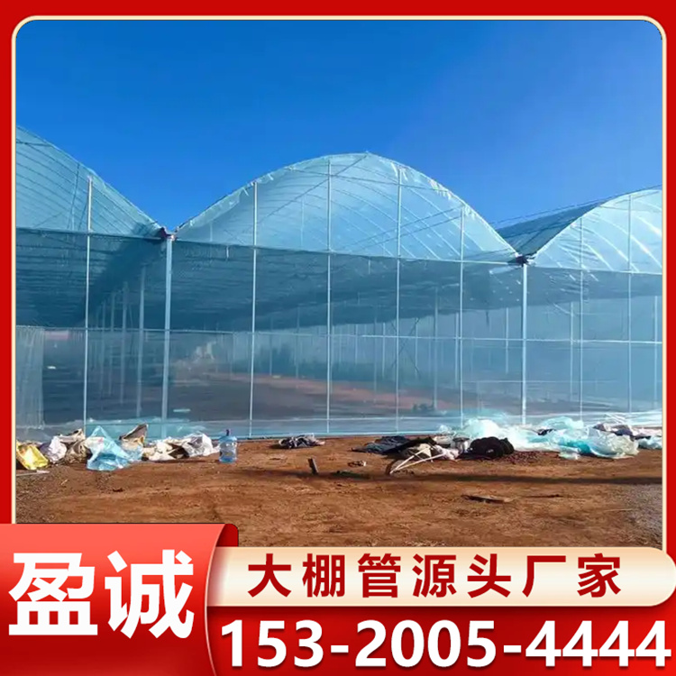 薄膜连栋大棚 蔬菜种植大棚 热镀锌钢制骨架 大棚材料 支持定制