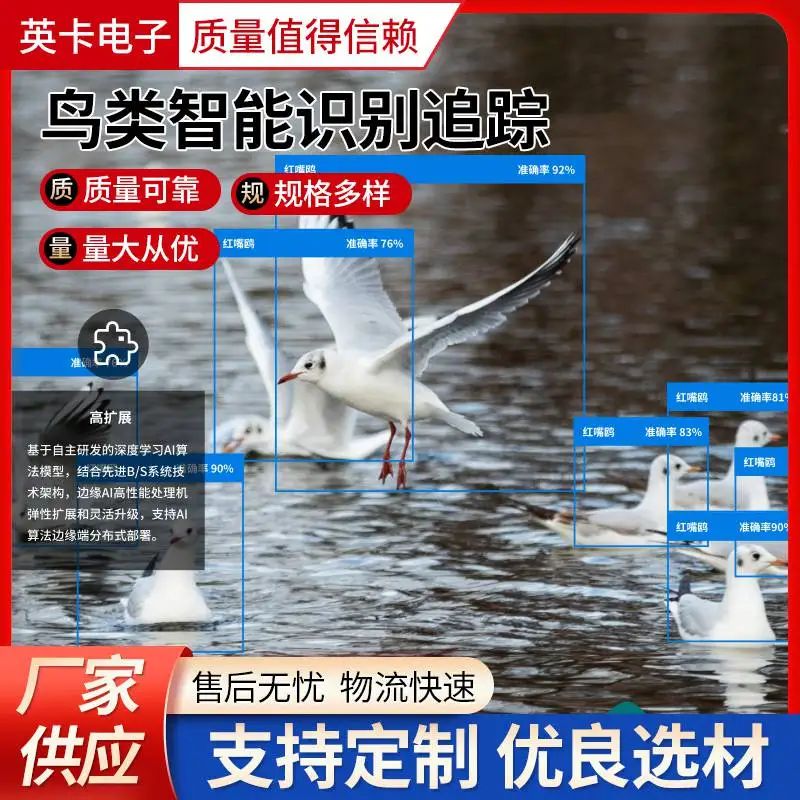 英卡电子鸟类AI监测大数据平台 鸟类智能识别追踪