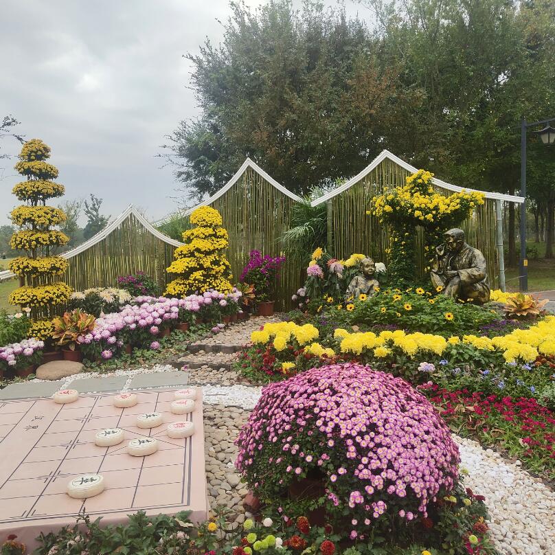 风景区菊花展_景区菊花造型艺术展