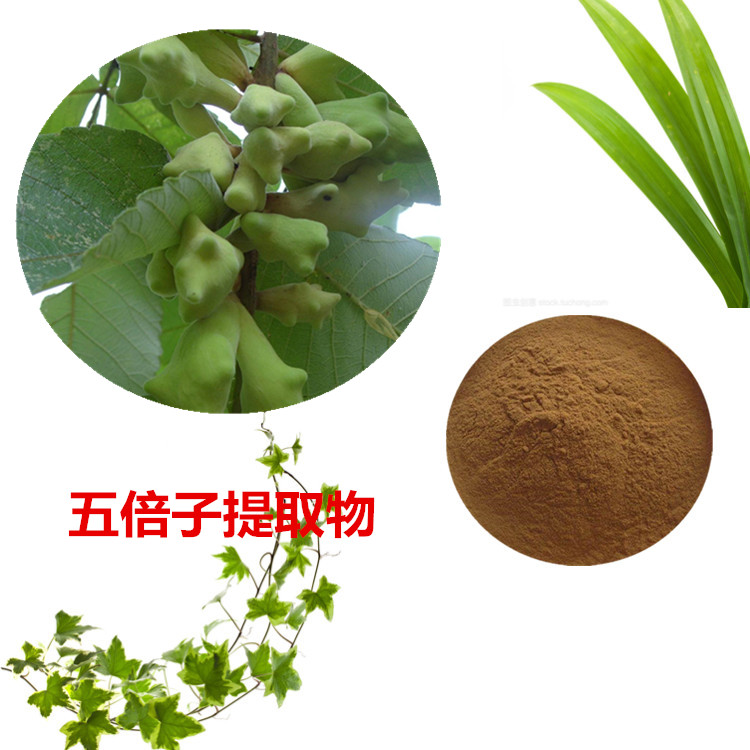 五倍子提取物 10:1 水提 单宁酸 95% 五倍子浸膏