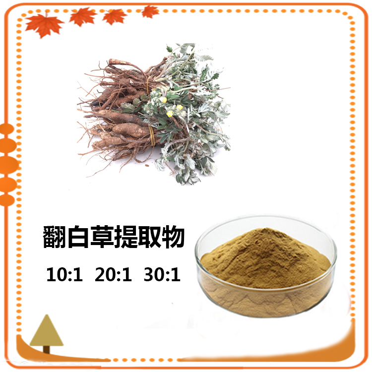 翻白草提取物 10:1 水提 翻白草多糖 翻白草粉 98%