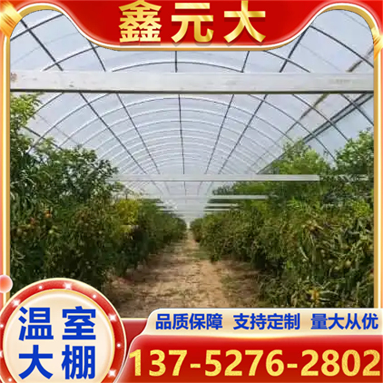草莓大棚骨架 冬枣棚大棚管骨架 6分圆管草莓棚