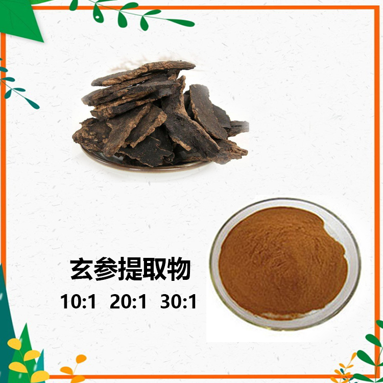 玄参提取物 10:1 水提 玄参浓缩粉 玄参浸膏 玄参浸膏粉