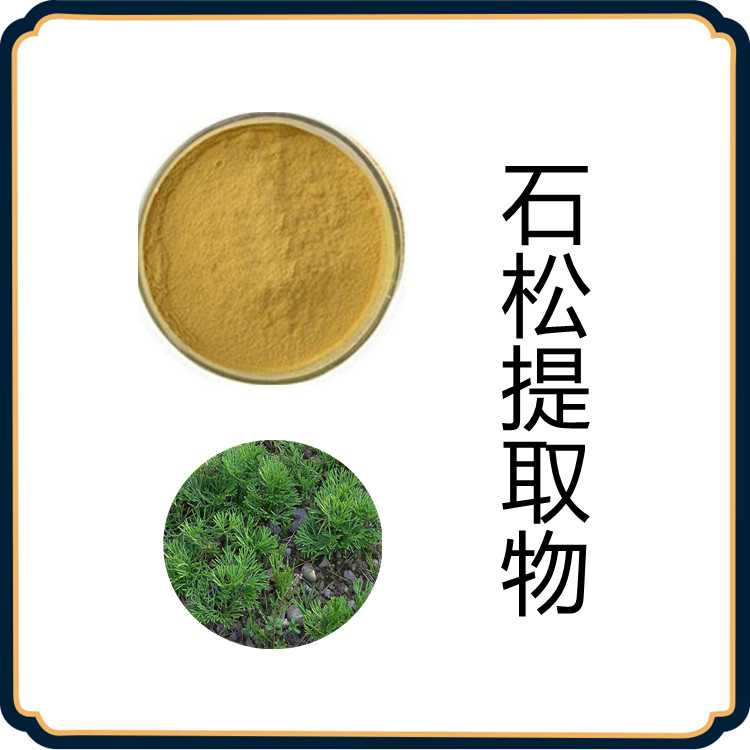 石松提取物   粉末细腻流动性好   固体饮料   国标生产  食品级   包邮