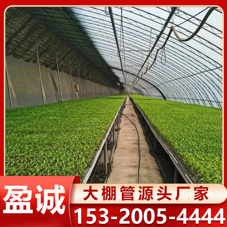日光温室大棚 蔬果水果种植棚 搭建周期较短 防腐蚀耐折弯 可定制