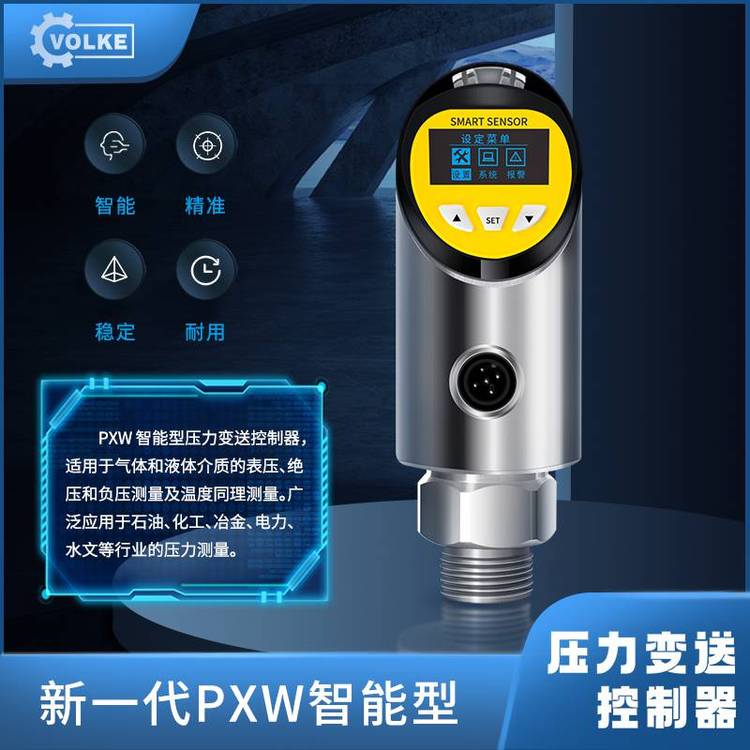 定做温度压力一体化变送器 液压水压测量 485/模拟量输出