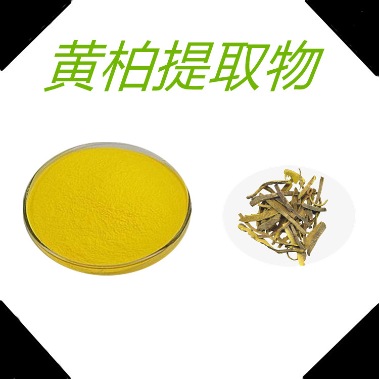 黄柏提取物  粉末细腻  三遍水提   国标生产 植物原料   无结块  无杂质
