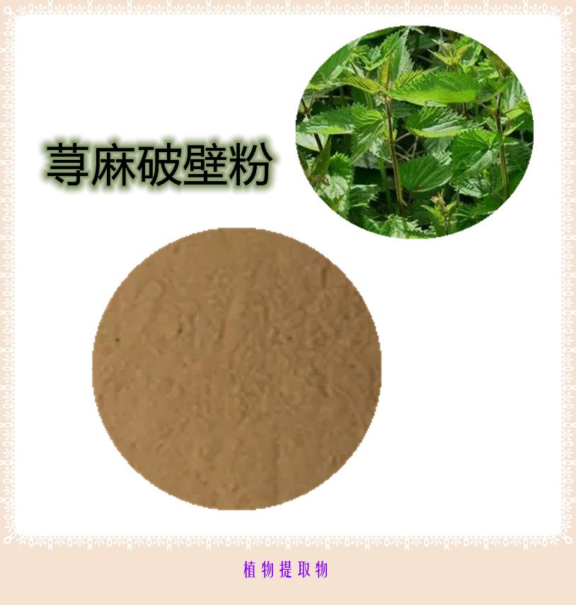 荨麻提取物 10:1 水提 荨麻浸膏粉 荨麻水溶粉