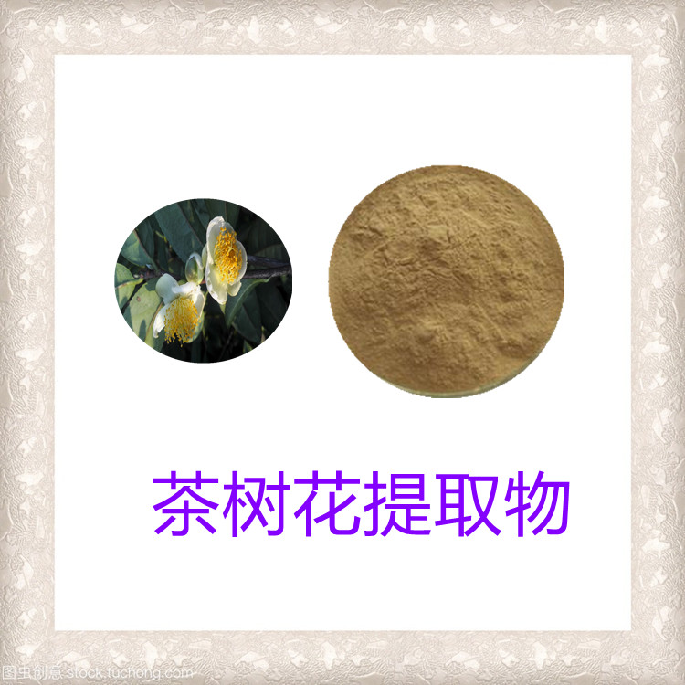 茶树花提取物   固体饮料   质量稳定   含多种营养成分   食品级   包邮