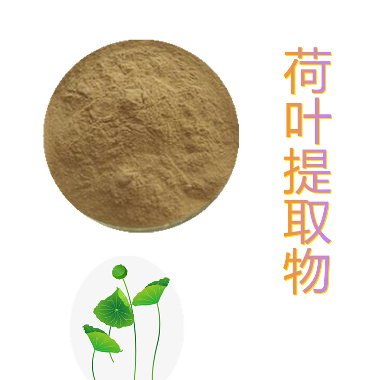 荷叶提取物     水溶性好    三遍水提    质量稳定    固体饮料    包邮