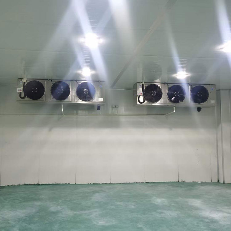 物流冷库 医药品保鲜冷藏速冻库 制冷设备库房定制建造